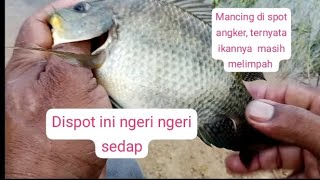 mancing di spot ini ngeri ngeri sedap.#fishing #pecahkunyit #mendebarkan #mancingmania