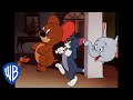 Tom & Jerry | Jerry and Jumbo Team Up | Classic Cartoon | WB Kids
