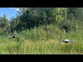 Dji mini 3 pro, Mini2 & Autel Nano plus - тест актив треков и просто впечатления от эксплуатации.