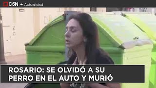 Rosario: se OLVIDÓ a su PERRO en el AUTO y MURIÓ