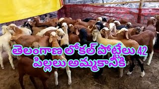 42 తెలంగాణ లోకల్ పోట్టేల పిల్లలు 9963969680  అమ్మకానికి 18-12-2023 (వెంకీ 6305662856)