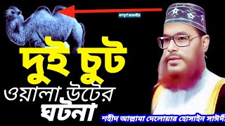 দুই চুট ওয়ালা উটের ঘটনা | Saidi Waz | bangla waz allama delwar hussain saidi | Sayeedi Waz | Sayede