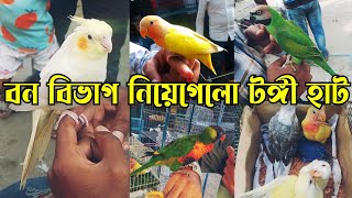 টঙ্গী পাখির হাট-২০২৪ || মদনা তোতা টিয়াপাখি দাম || Tongi Pakhir hat || Bird market bd