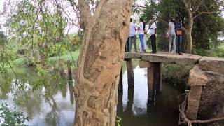 Stone bridge Anuradhapura ගල්පාලම අනුරාධපුර