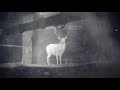Danny Mulhern - Captive (R.O.A.D.S LP)