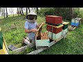 Spring Set Up for Honey in Single Deeps