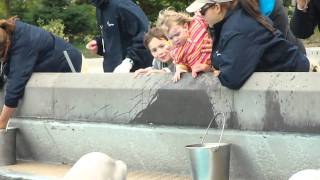 Benjamin, Abigail and the Marineland Belugas