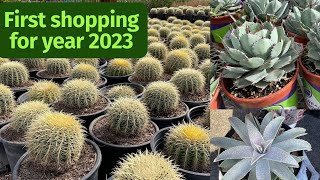Shopping for Cactus and Succulents During Winter