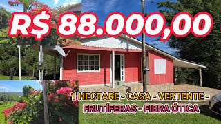 [113776] CHÁCARA DAS COUVES 10 080M² CARAÁ 88MIL