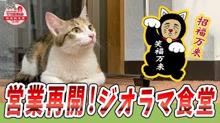 【営業再開】みんなが笑顔のジオラマ食堂／２階ふれあい広場のご紹介／2021年6月6日