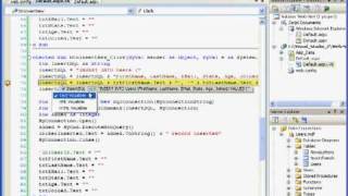 Learn Visual Basic Insert New Record