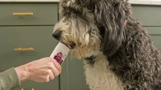 Twist+Lick SimPill Pilling Solution for Dogs