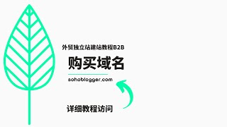 外贸独立站建站教程B2B | 第一节 Namesilo域名购买