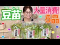 【簡単】豆苗の大量消費レシピ5品！