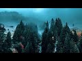 beautiful foggy scene deep sleep music relaxing music stress relief music fog lavish nature