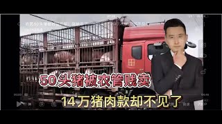 【弹幕版-补档】农民50头猪被农管扣留！猪被杀了，肉贱卖了，14万猪肉款却不见了