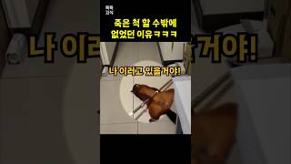 죽은 척 할 수밖에 없었던 이유