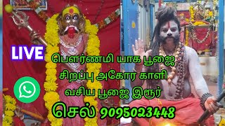 பௌர்ணமி அருள் வாக்கு  யாக பூஜை சிறப்பு அகோர காளி வசிய பூஜை இரூர் செல் 9095023448