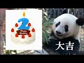 令和元年６月のシャンシャン・ダイジェスト　abc panda movies　クイズ・おみくじ・未公開映像有り