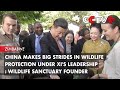 China Makes Big Strides in Wildlife Protection Under Xi's Leadership: Wildlife Sanctuary Founder