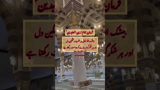 فرمان امام سجاد:بیشک اللّٰہ تعالیٰ ہر افسردہ اور غمگین دل #youtubeshorts #shorts #short #shortvideo