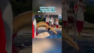 男子学了一个月的跳水今天准备验收成果了来…… @中文热点信息 #新闻 #时政 #政治 #中国 #民生 #情感 #正能量 #社会问题 #政府 #政策 #分析