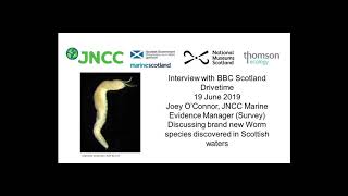 JNCC Interview with BBC Scotland radio on new worm species with eyes in its bottom