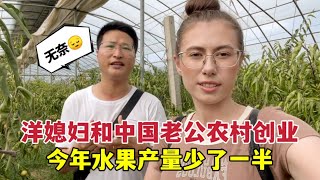 Ukrainian wife and Chinese husband start a business in rural areas洋媳婦和中國老公創業賣水果，結果今年減產一半：沒轍，靠天吃飯