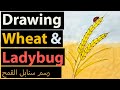 Drawing Wheat and a Ladybug – Peaceful Nature-Inspired Art