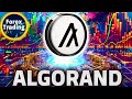 ALGORAND: Is This the Calm Before a Bullish Storm? - ALGORAND Price Prediction - ALGORAND News Now