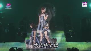 乃木坂46 真夏の全国ツアー2015 魚たちのLOVESONG