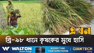 শেরপুরে ৮ হাজার টন চাল উৎপাদন | Paddy News | Sherpur News | Ekhon TV