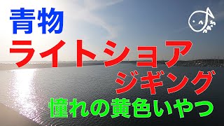 ライトショアジギングで銚子の青物+サビキアジ釣り 2019.6(1)