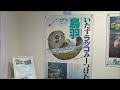 トバスイ春のラッコ祭り@鳥羽水族館