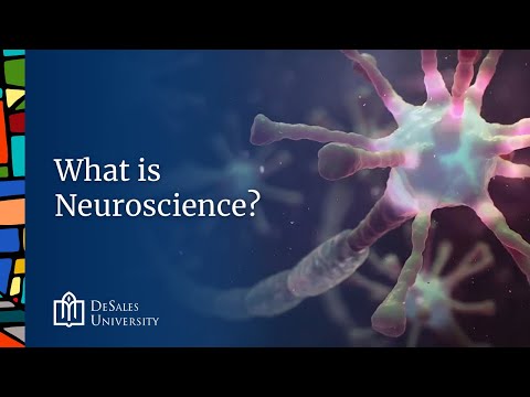 What is neuroscience?