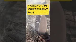 桐の木の不思議な穴の横に…謎のヘアブラシ！？霧吹きを連射したら衝撃の展開に！