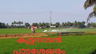 Kuttanadan Paadashekharam,  കുട്ടനാടൻ പാടശേഖരം