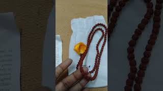 isha Rudraksha 6mm size