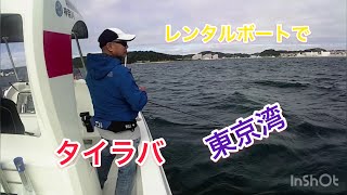 レンタルボートでタイラバ 。東京湾。ヤマハシースタイルSR-X