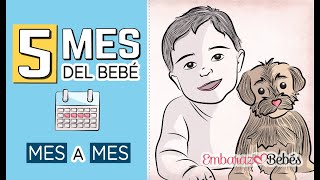 📆👶🏻 QUINTO MES del bebé | 5 MES | Desarrollo y cuidados