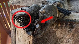 COW FOOT CUTTING - Cutting, trimming, cleaning and removing metal from cow's hooves ##nail#11