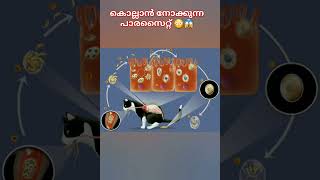 പൂച്ച പ്രേമികൾ ഒന്ന് സൂക്ഷിച്ചോ 😱😖facts Malayalam #viral #factshorts #facts #amazingfacts #baby