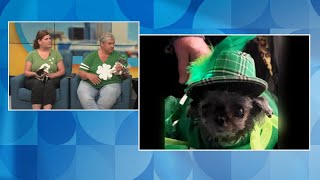 Shamrock Pet Foundation offering $10 BBQ dinners at its first fundraiser this weekend