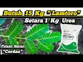 Cara Buat Pupuk Urea 💥Ternyata 1 Kg Pupuk Urea = 15 Kg Daun Lamtoro💥#tanaman #pupuk #kimia #tumbuhan