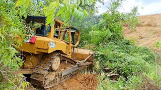 D6R XL Bulldozer Working to Clean Terraces in Palm Oil Land