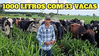 ALTA PRODUÇÃO DE LEITE COM POUCAS VACAS