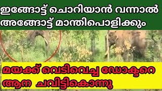 മയക്ക് വെടിവെച്ച ഡോക്ടറെ ആന ചവിട്ടികൊന്നു | ഇങ്ങോട്ട് ചൊറിയാൻ വന്നാൽ അങ്ങോട്ട് തിരിച്ചു മാന്തൂം