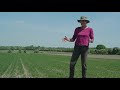 helen browning’s organic farm tour episode 2