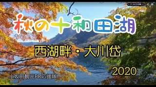 秋の十和田湖西湖畔・大川岱 2020 【小坂町観光PR応援隊】