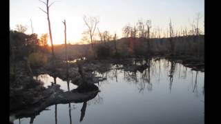 American Tobacco Trail South